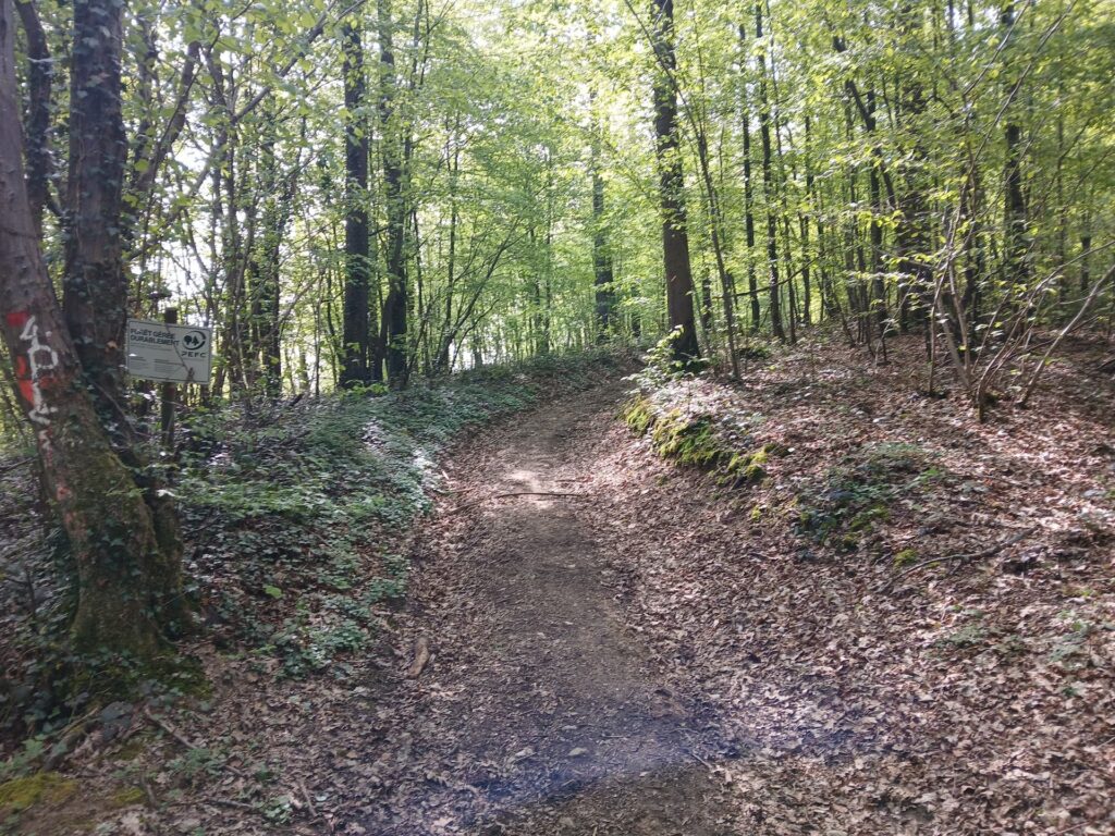 sentier forestier, Renlies, gîte rural l'Ephémère - Lacs de l'eau d'Heure